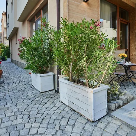 Florance Luxury In *